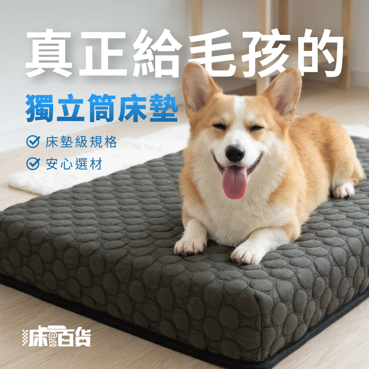 全新獨立筒寵物床｜真正為毛小孩準備的獨立筒床墊