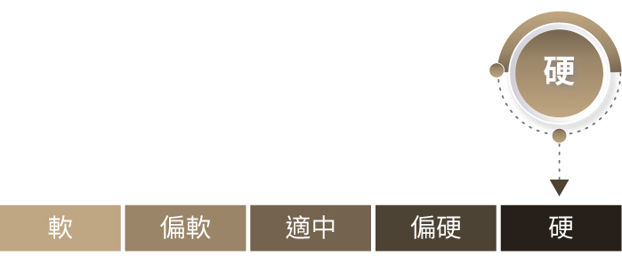 摩卡Café Mocha 護背厚硬彈簧床 摩卡Café Mocha 護背厚硬彈簧床